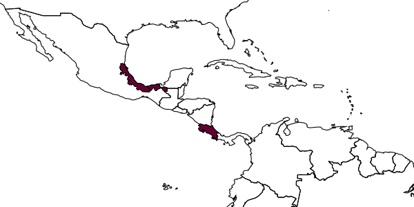map of Alabagrus miqa     Sharkey, 1988